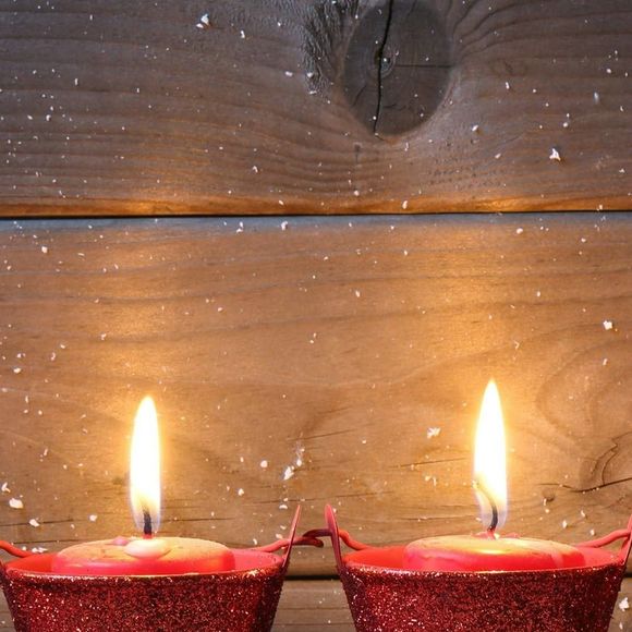 Meet your Posher, Lisa - Picture 1 of 1